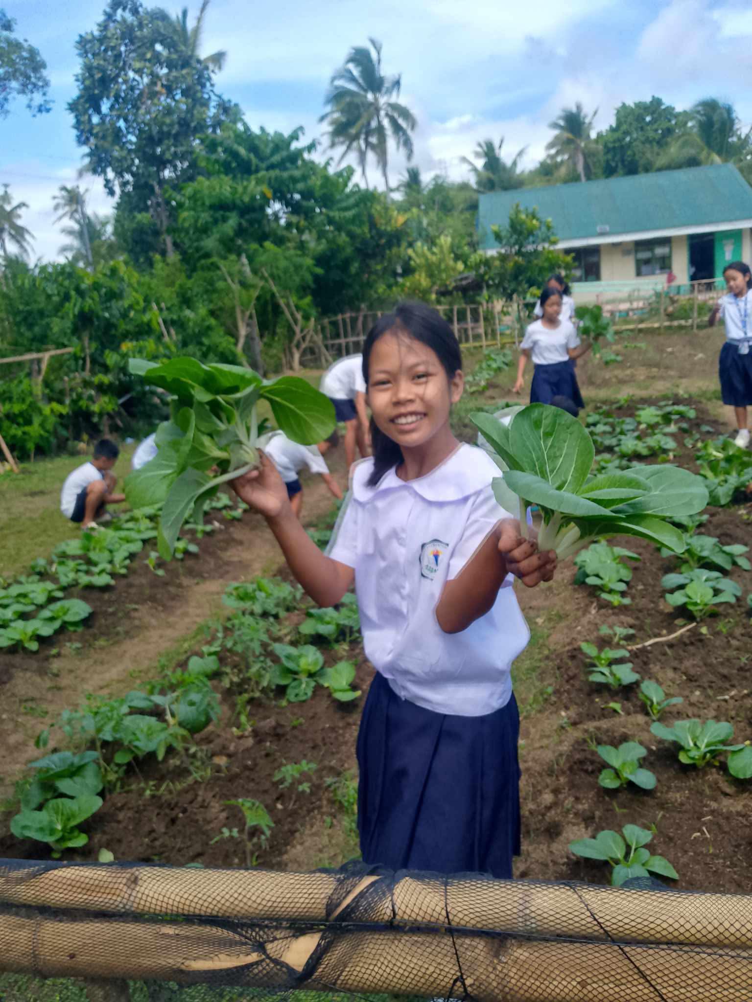 Pertanian Halaman Rumah Tangga Urban Farming